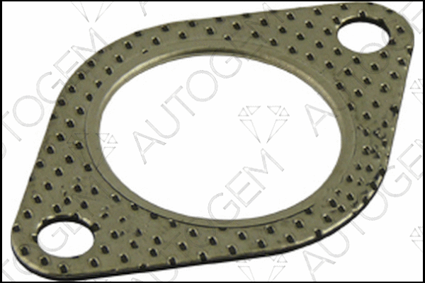 Gasket, exhaust pipe (CEG341)