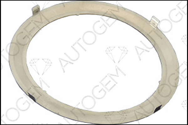 Gasket, exhaust pipe (CEG4201)