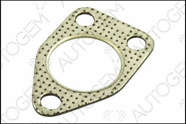 Gasket, exhaust pipe (CEG192)
