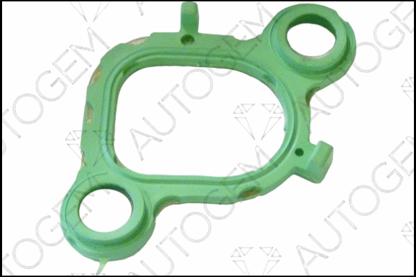 Gasket, intake manifold (CSM978)