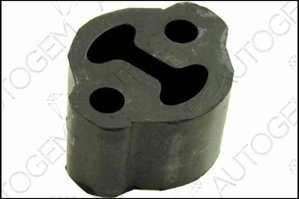 Mount, exhaust system (CSM100)