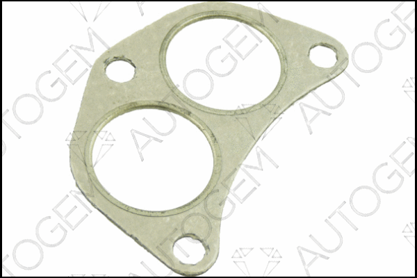 Gasket, exhaust pipe (EG74)