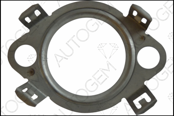 Gasket, EGR valve (CEG4217)