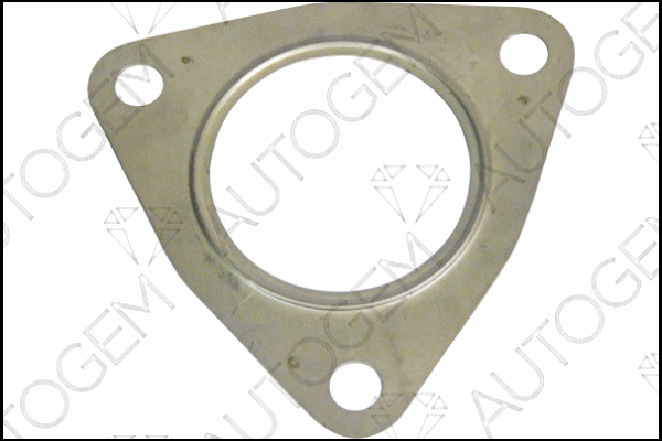 Gasket, exhaust pipe (CEG9501)