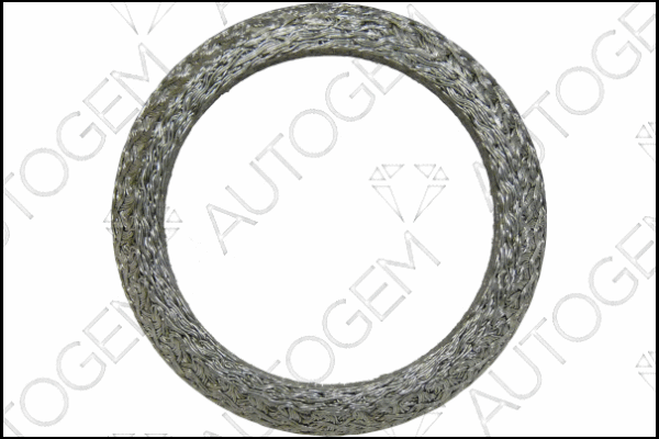 Seal Ring, exhaust pipe (CEG9329)