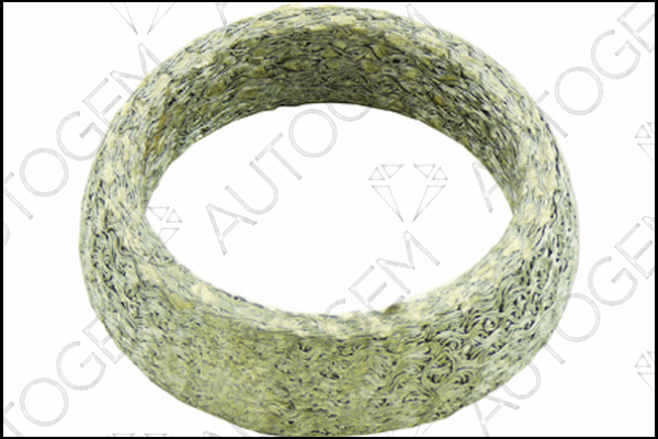 Seal Ring, exhaust pipe (CEG739)