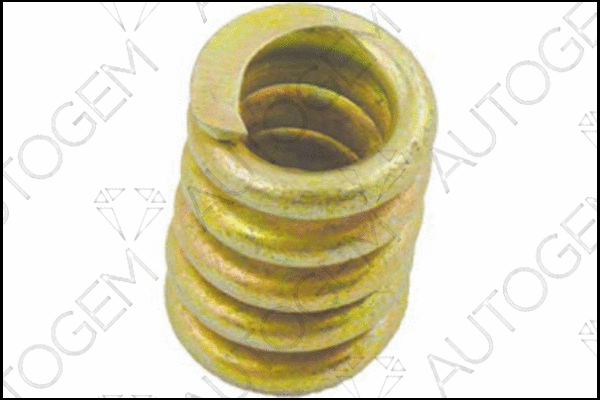 Spring, muffler (CSC51)