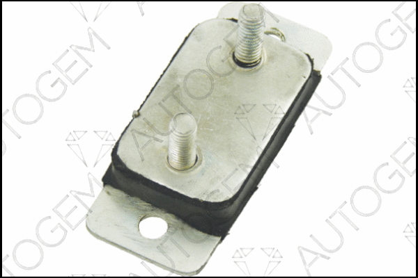 Mount, exhaust system (CSM951)