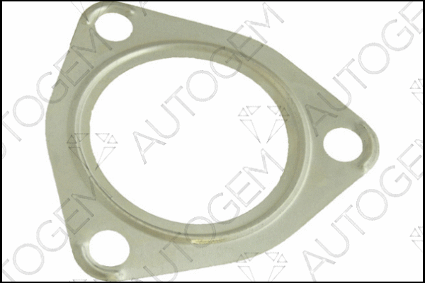 Gasket, exhaust pipe (CEG408)