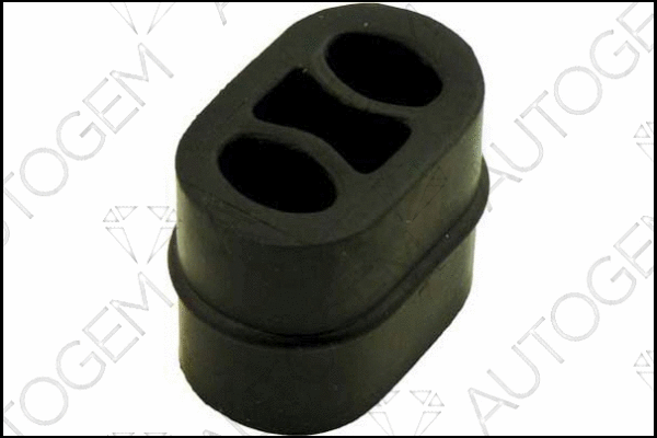 Mount, exhaust system (CSM203)