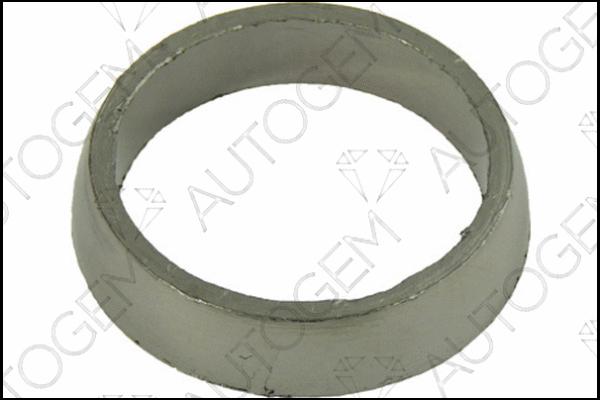 Seal Ring, exhaust pipe (CEG874)