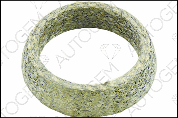 Seal Ring, exhaust pipe (CEG853)