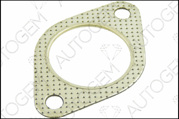 Gasket, exhaust pipe (CEG696)