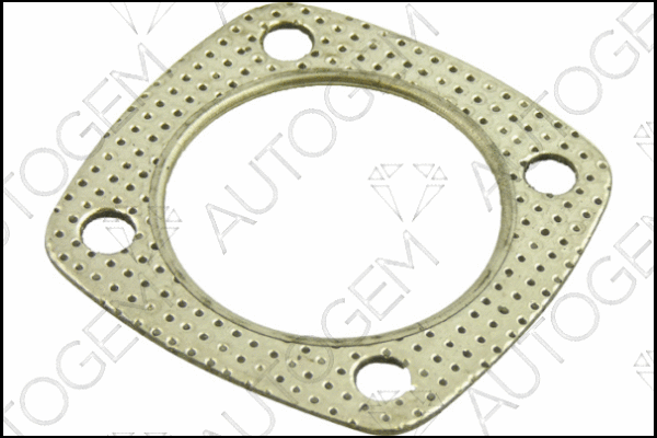 Gasket, exhaust pipe (CEG284)