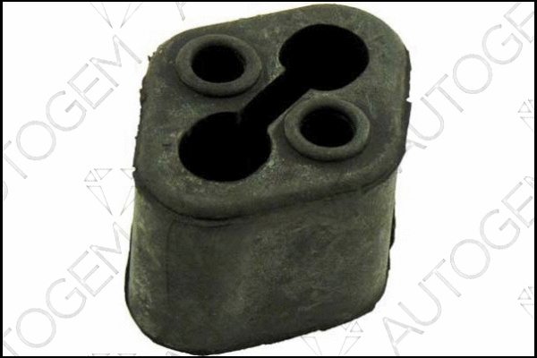 Mount, exhaust system (CSM05EP)