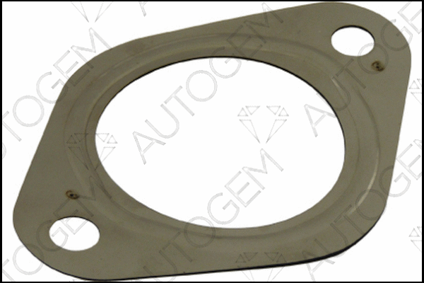 Gasket, exhaust pipe (CEG587)