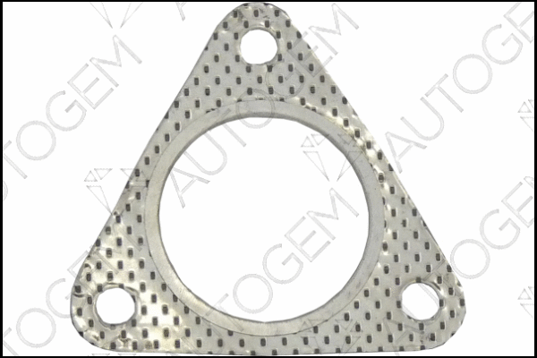 Gasket, exhaust pipe (CEG7805)