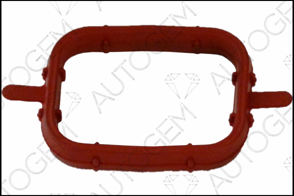 Gasket, intake manifold (CSM4502)
