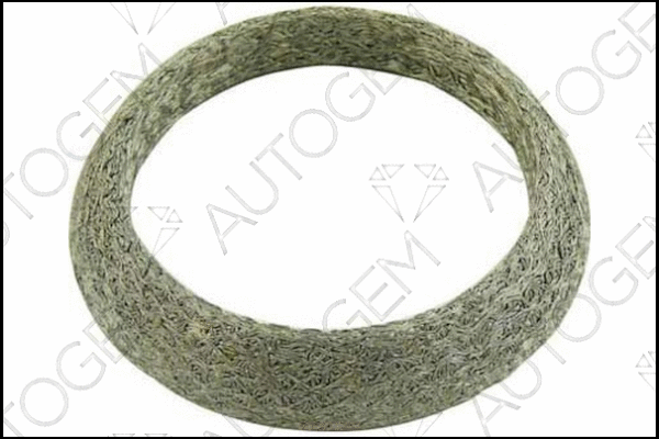 Seal Ring, exhaust pipe (CEG84)