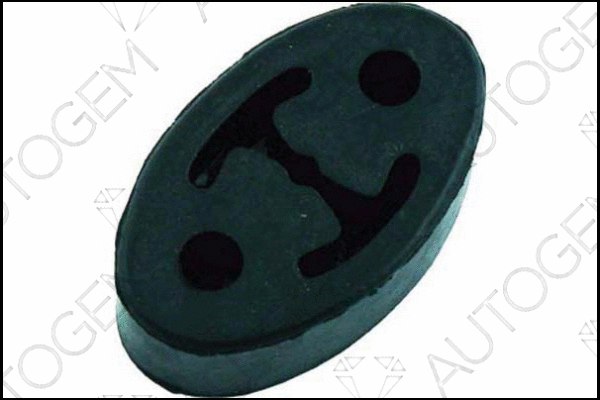 Mount, exhaust system (CSM120)