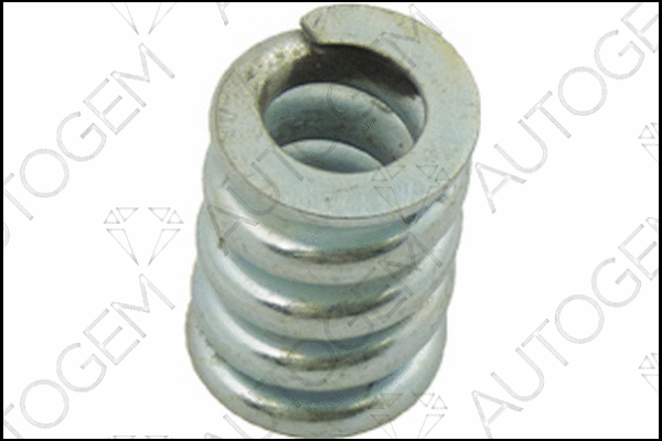 Spring, muffler (CSC813)