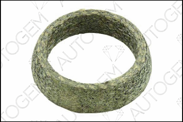 Seal Ring, exhaust pipe (CEG194)