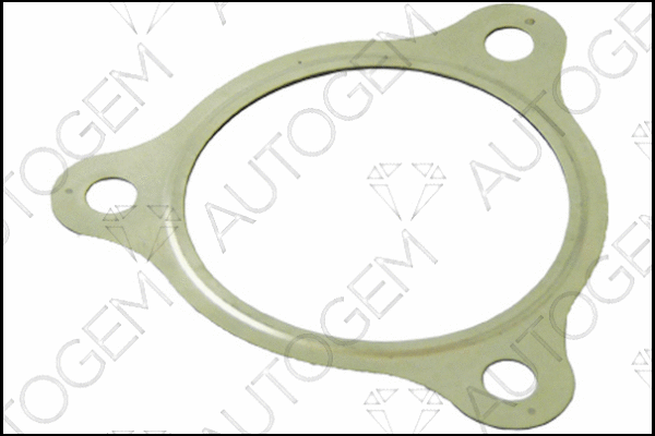 Gasket, exhaust pipe (CEG429)