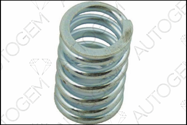 Spring, muffler (SC85)