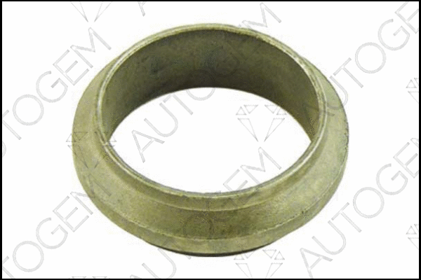 Seal Ring, exhaust pipe (CEG123)