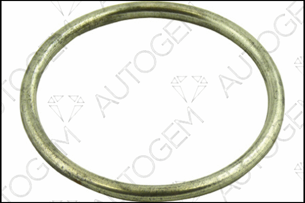 Seal Ring, exhaust pipe (CEG52)