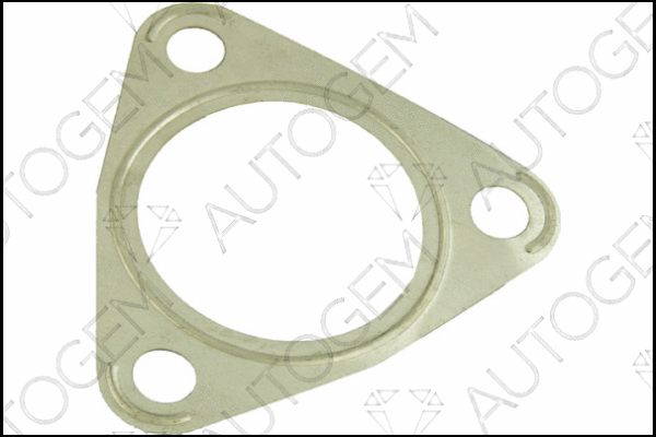 Gasket, exhaust pipe (CEG507)