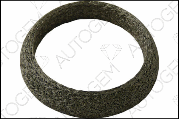 Seal Ring, exhaust pipe (CEG737)