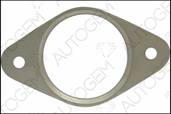Gasket, exhaust pipe (CEG5412)