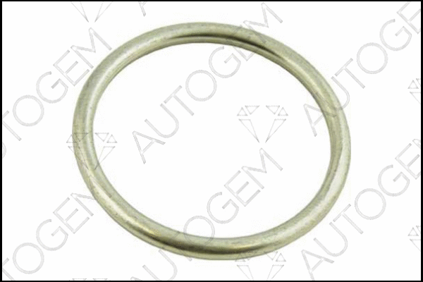 Seal Ring, exhaust pipe (EG54)