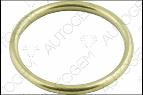 Seal Ring, exhaust pipe (CEG584)