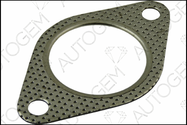 Gasket, exhaust pipe (CEG825)