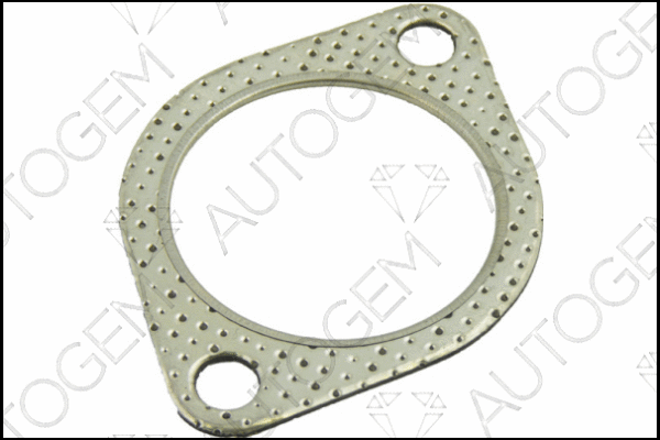 Gasket, exhaust pipe (CEG445)