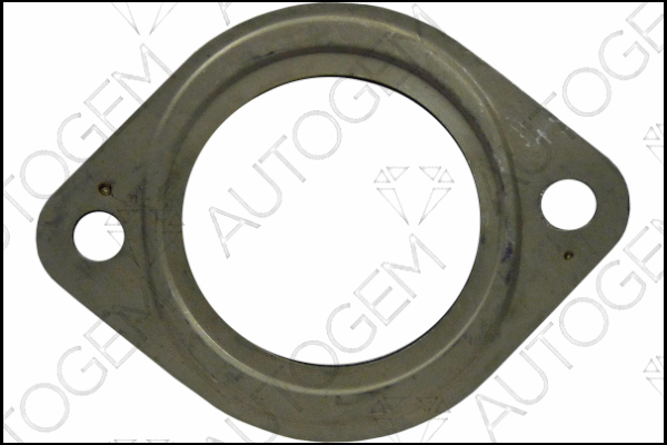 Gasket, exhaust pipe (CEG7267)