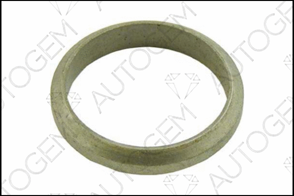 Seal Ring, exhaust pipe (CEG87)