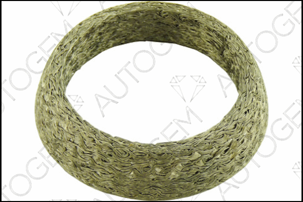 Seal Ring, exhaust pipe (CEG55G)