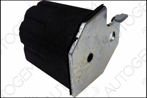 Mount, exhaust system (CSM8303)