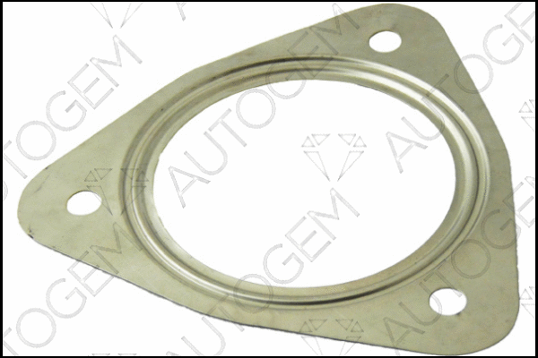 Gasket, exhaust pipe (CEG805)