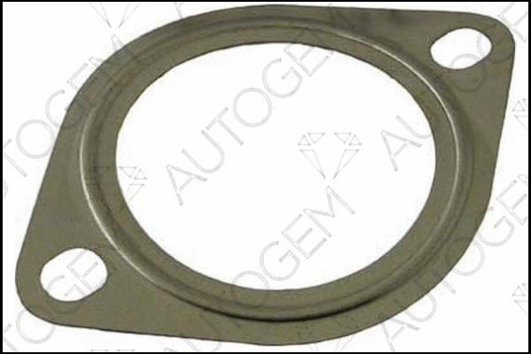 Gasket, exhaust pipe (CEG287)