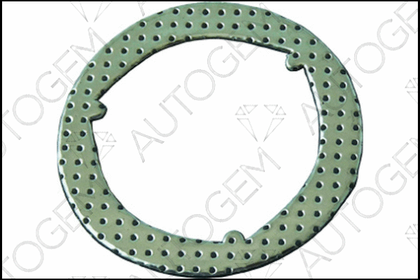 Gasket, exhaust pipe (CEG438)