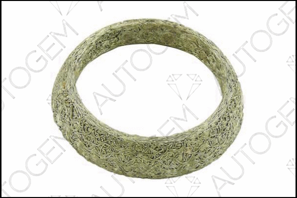 Seal Ring, exhaust pipe (CEG278)