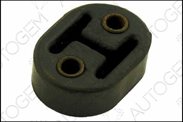 Mount, exhaust system (CSM103)