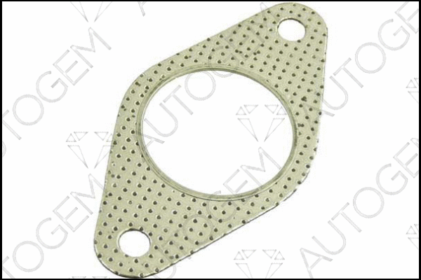 Gasket, exhaust pipe (EG102)