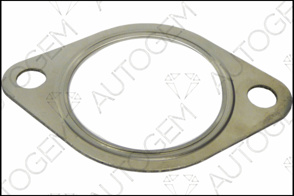 Gasket, exhaust pipe (CEG324)