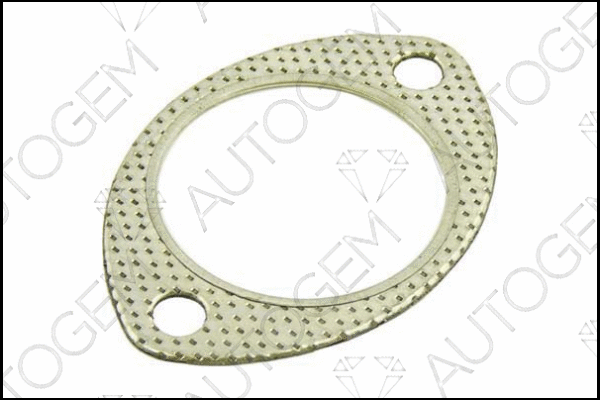 Gasket, exhaust pipe (CEG256)