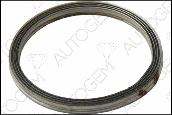 Seal Ring, exhaust pipe (CEG7506)